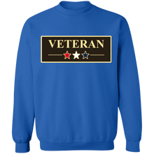 Load image into Gallery viewer, USA 3 Star Veteran Apparel