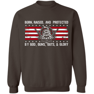 Born Raised and Protected By God, Guns, Guts and Glory 2nd Amendment Pullover Sweatshirt  8 oz.