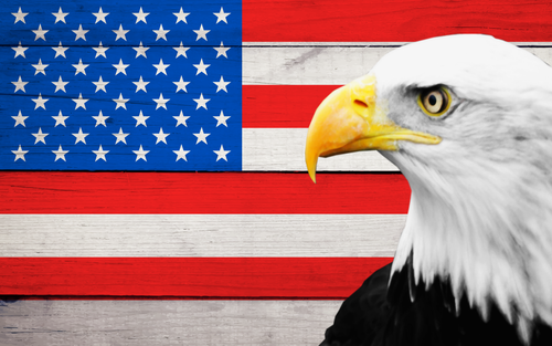 Patriotic USA Eagle Personalized Premium Flag - Up to 4 Custom Texts