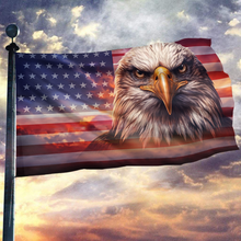 Load image into Gallery viewer, Never Forget Eagle USA Flag