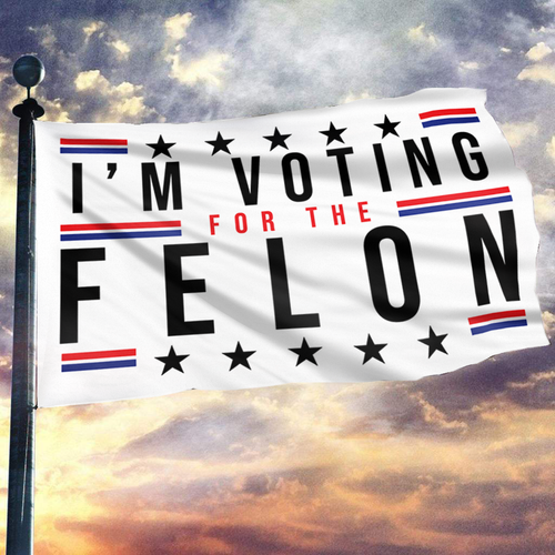 I'm Voting For The Felon Flag