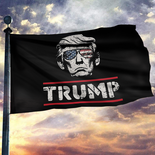 Trump Vintage American Sunglasses Mugshot Flag