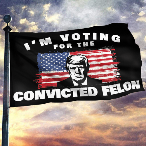 I'm Voting For The Convicted Felon USA Flag