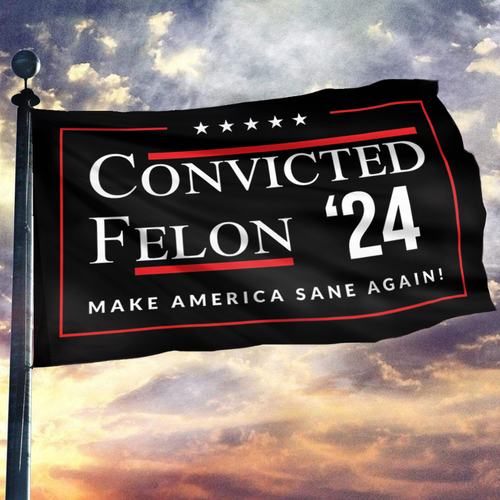 Convicted Felon '24 Make America Sane Again Flag