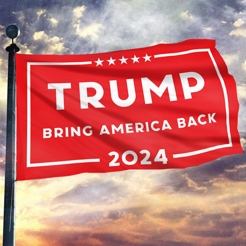 Trump Bring America Back Flag