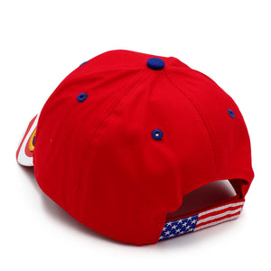 Trump 2020 Red USA Flag Hat