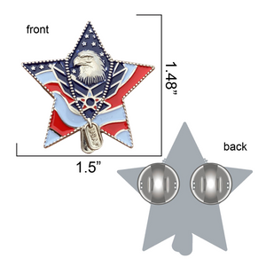 US Air Force Veteran Pin (RTL)