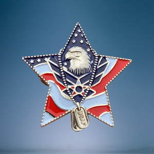 US Air Force Veteran Pin (RTL)